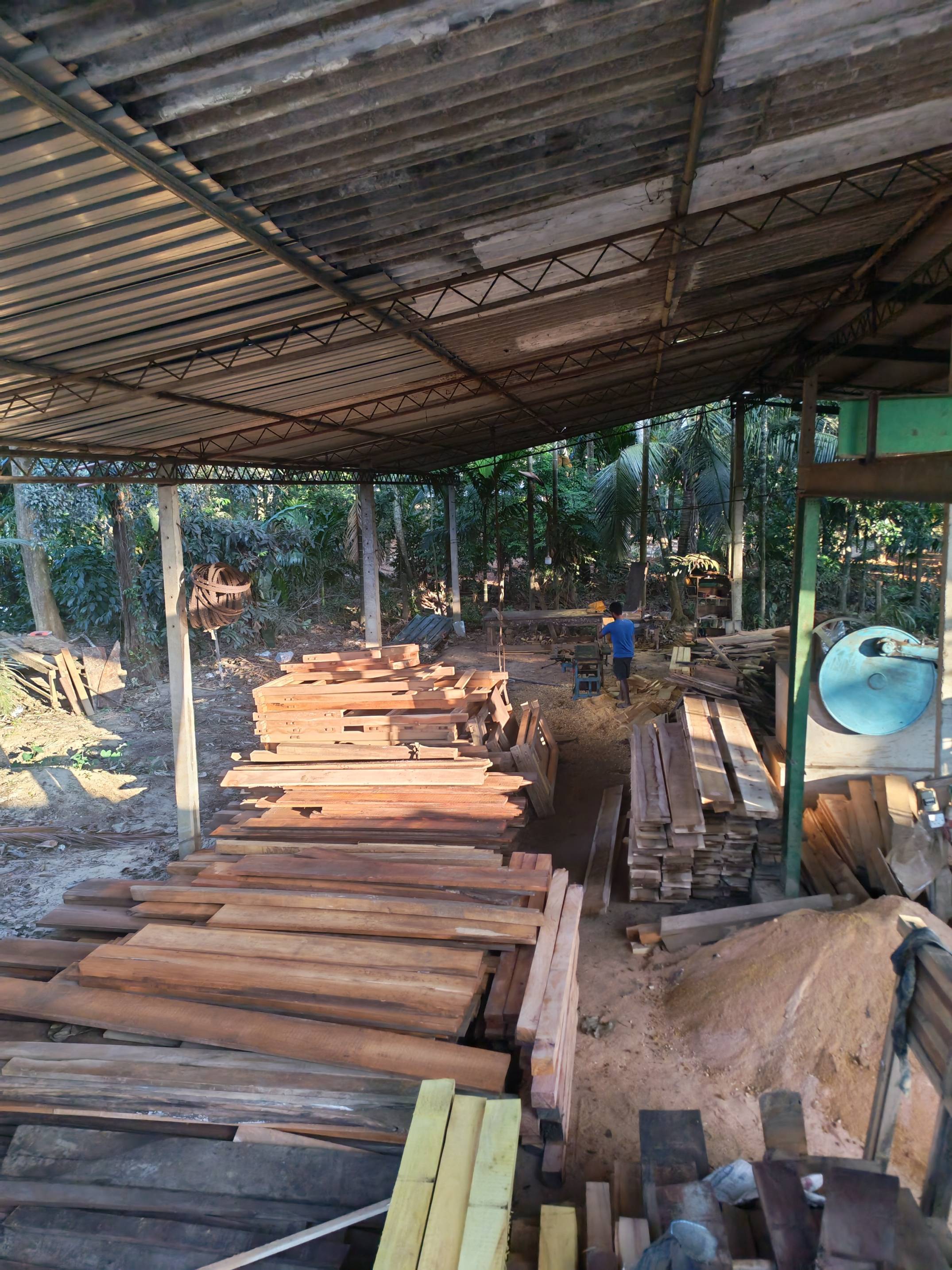 Timber Processing